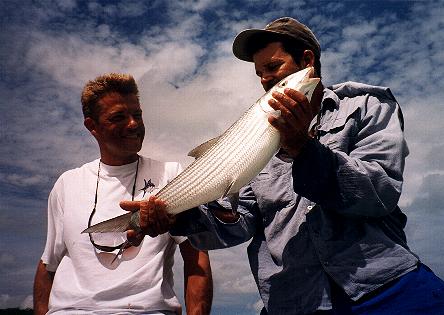 bonefish sport fishing Islamorada-021.jpg (31428 bytes)