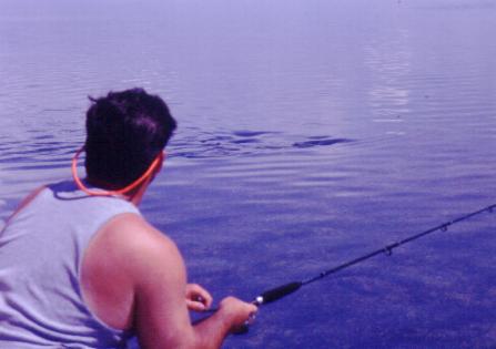 bonefish sport fishing Islamorada-029.jpg (16517 bytes)