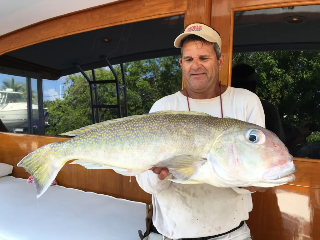 Islamorada Fishing Seasons