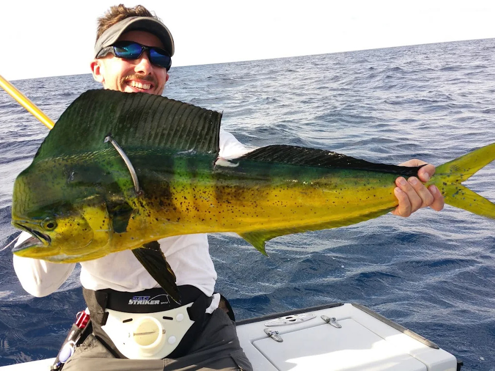 Sport Fishing for Dolphin (Mahi) in Islamorada, Florida Keys