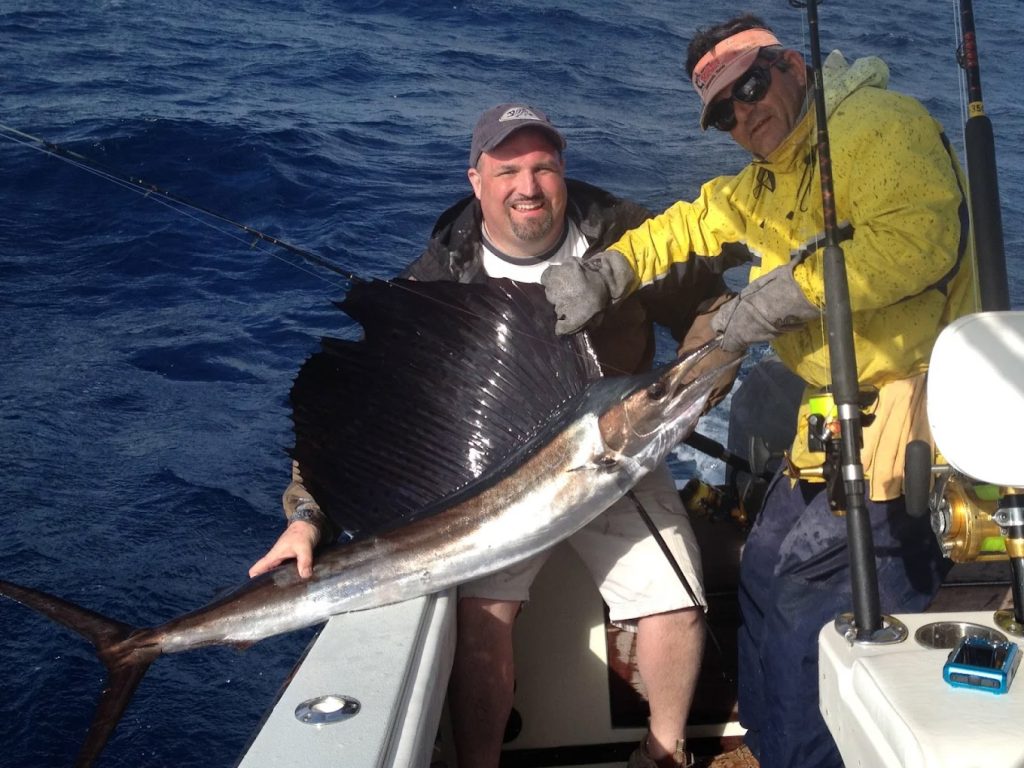 Sport Fishing for Sailfish in Islamorada, Florida Keys