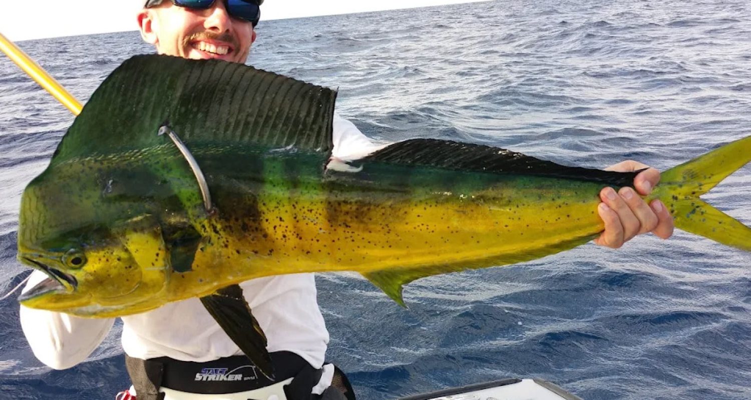 mahi-dolphin-fishing-charter