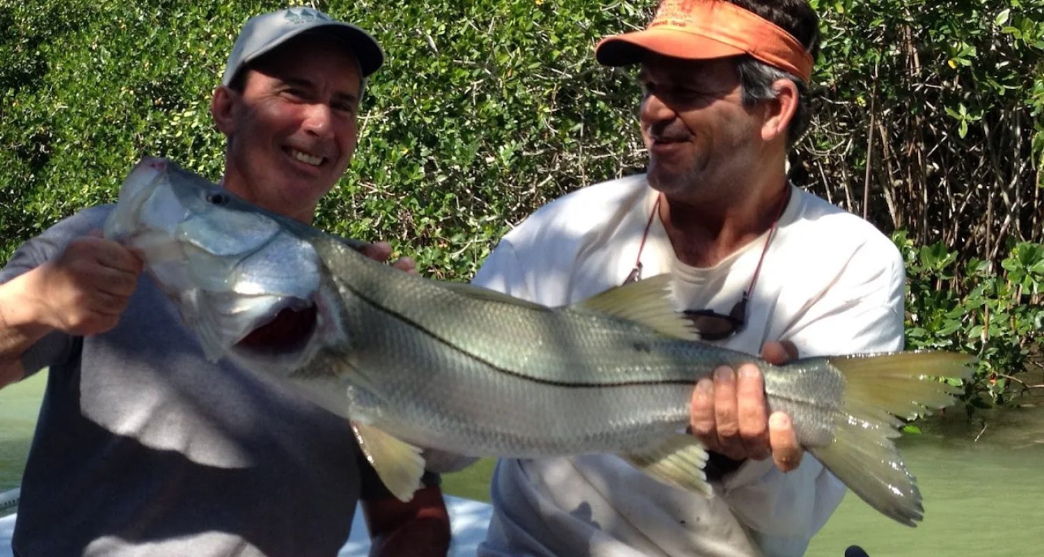 snook-fishing-charters